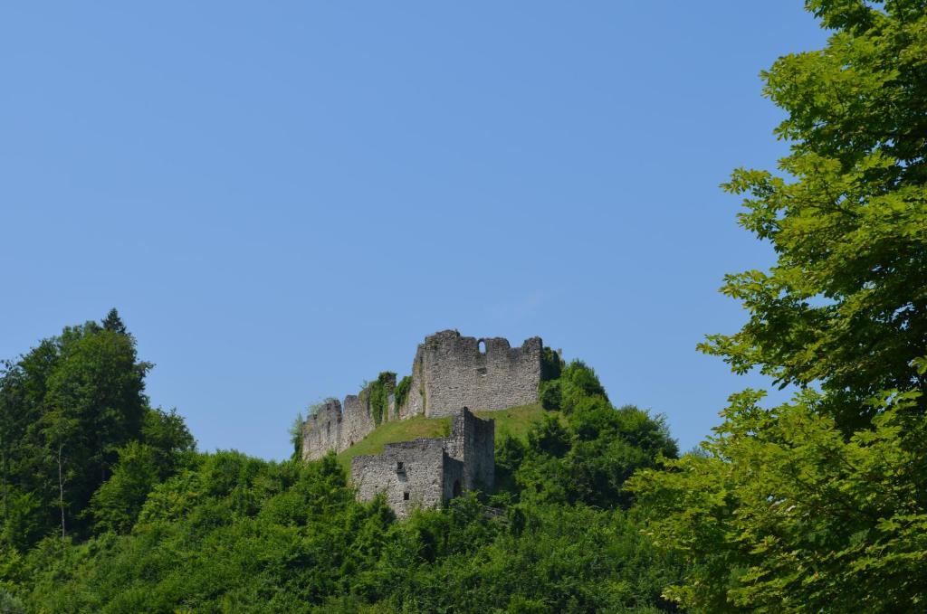 "Kaiser Karl" *** Ferienwohnungen Grossgmain Exterior foto